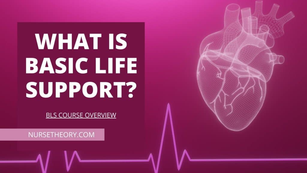 What is Basic Life Support