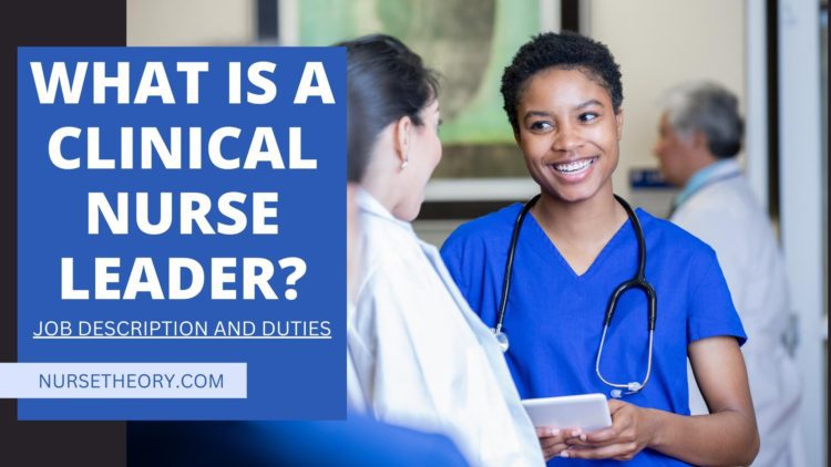 What is a Clinical Nurse Leader