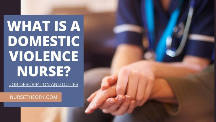 What is a Domestic Violence Nurse