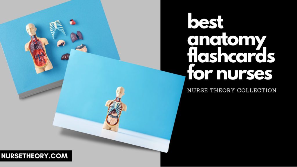 best anatomy flashcards for nurses