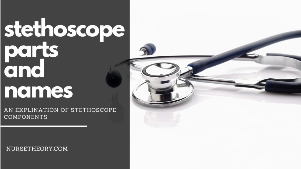 stethoscope parts and names