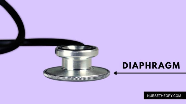 Stethoscope diaphragm