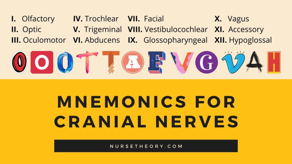 Mnemonic for Cranial Nerves